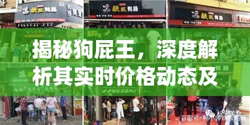 深度解析狗屁王實時價格動態(tài)與市場趨勢揭秘