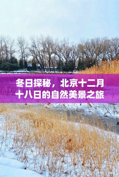 冬日探秘，北京十二月十八日自然美景之旅，追尋內(nèi)心的寧?kù)o與陽(yáng)光