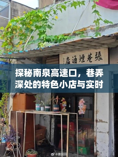 南泉高速口探秘，巷弄小店的特色風情與實時路況之旅
