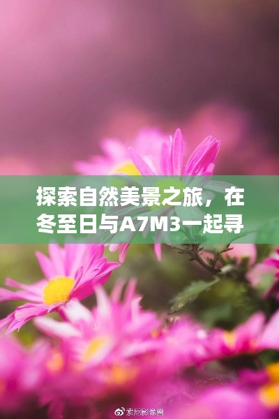 冬至日與A7M3共赴自然美景之旅，尋找內(nèi)心寧靜的旅程