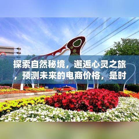 開啟自然秘境之旅，探索上海，預測電商未來價格的心靈之旅！