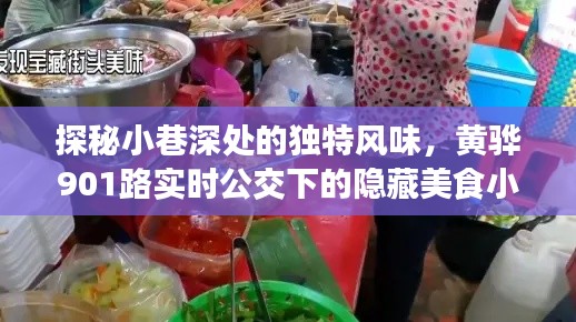 黃驊901路公交沿線隱藏美食小巷探秘，獨(dú)特風(fēng)味小店盤點(diǎn)