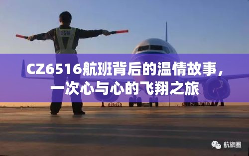 CZ6516航班，心與心的飛翔之旅溫情故事