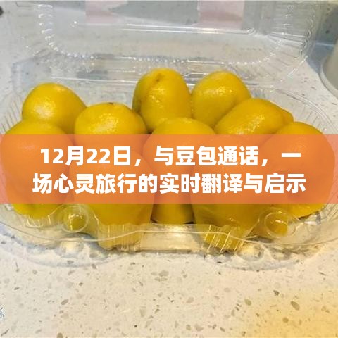 與豆包的通話，心靈旅行的實時翻譯與深層啟示