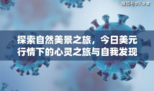 自然美景之旅與美元行情下的心靈探索，實時行情分析與自我發(fā)現(xiàn)（12月22日）