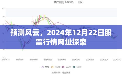 探索預(yù)測(cè)風(fēng)云，2024年12月22日股票行情網(wǎng)址解析