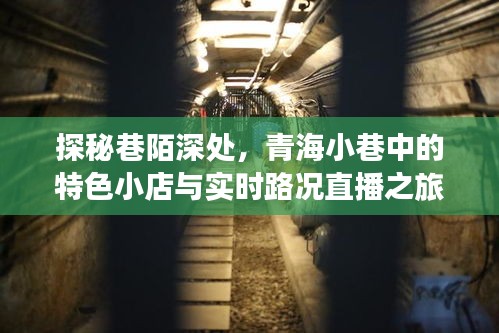 青海巷陌探秘，特色小店與實時路況直播之旅