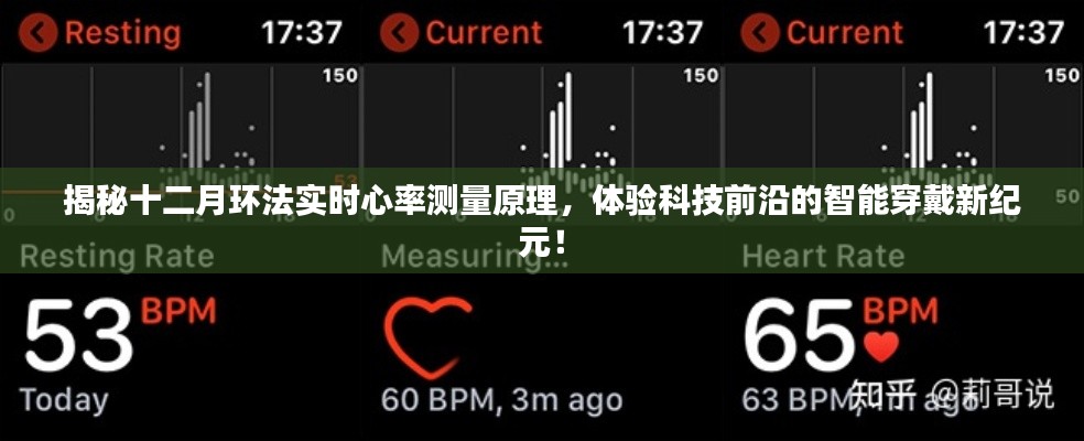 揭秘環(huán)法自行車(chē)賽實(shí)時(shí)心率測(cè)量技術(shù)，智能穿戴引領(lǐng)科技新紀(jì)元！