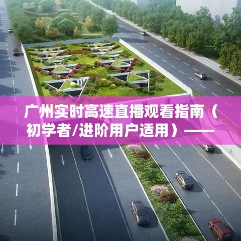 廣州實時高速直播觀看指南，初學者與進階用戶適用——2024年直播日回顧