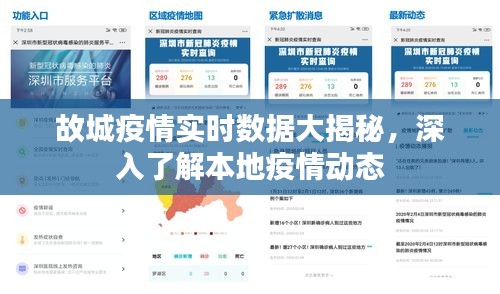 故城疫情實(shí)時(shí)數(shù)據(jù)深度解析，本地疫情動(dòng)態(tài)一覽