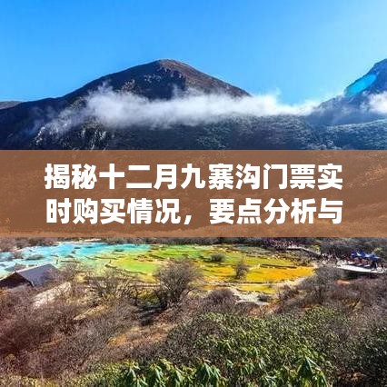 揭秘十二月九寨溝門票實(shí)時(shí)購(gòu)買情況，攻略與要點(diǎn)分析