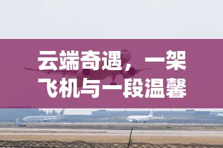 云端奇遇，飛機(jī)載夢(mèng)，溫馨尋跡之旅