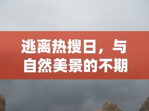 逃離熱搜日，偶遇自然美景的驚喜之旅