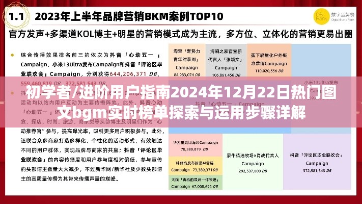 初學(xué)者與進(jìn)階用戶指南，探索與運(yùn)用圖文bgm實(shí)時(shí)榜單的步驟詳解（2024年12月22日）