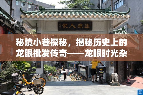 秘境小巷探秘，龍眼時(shí)光雜貨鋪揭秘龍眼批發(fā)傳奇歷史