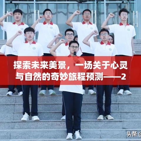 心靈與自然的未來之旅，探索美景與路況猜想報告（2024年12月22日）