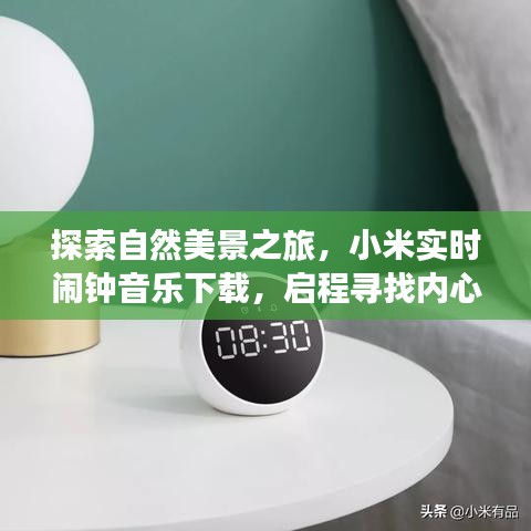自然探索之旅，小米鬧鐘音樂下載，尋找內(nèi)心的寧靜與平和