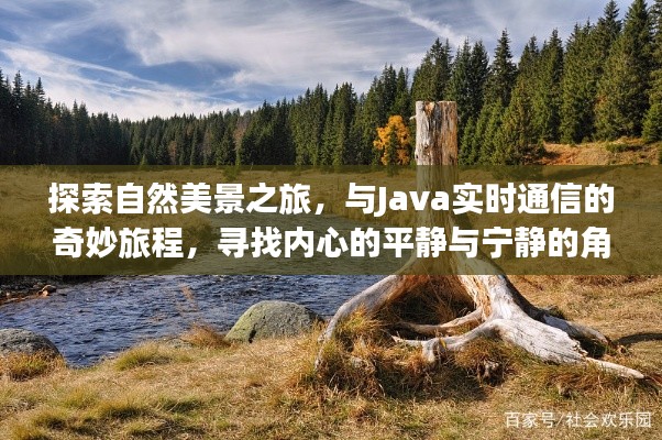 自然探索與Java通信的奇妙之旅，尋找心靈寧靜之地
