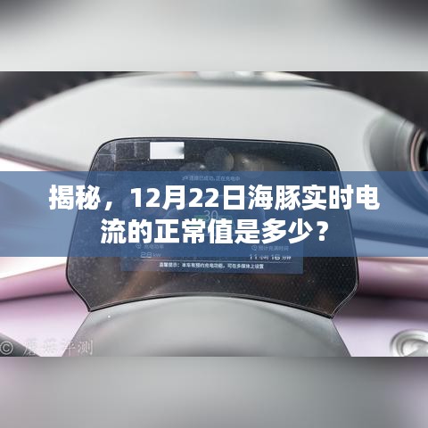 揭秘，12月22日海豚實(shí)時電流正常值揭曉