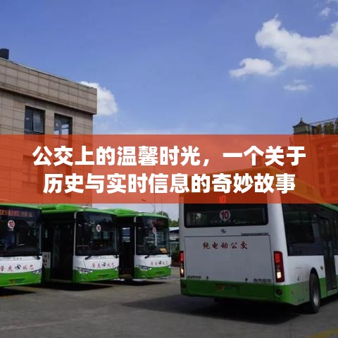 公交上的溫馨時(shí)光，歷史與實(shí)時(shí)信息的交織故事