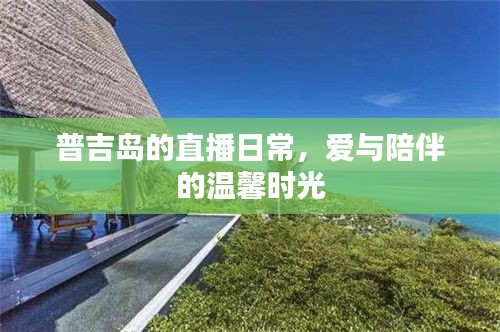 普吉島直播日常，愛與陪伴的溫馨時光記錄