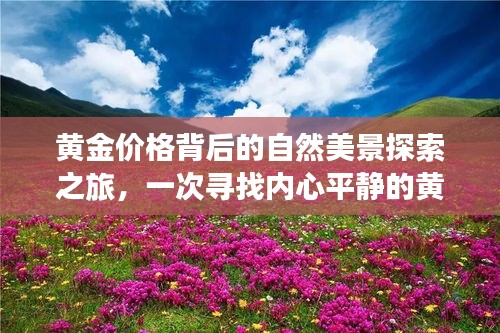 黃金之旅，探尋自然美景背后的黃金價格與內(nèi)心平靜之道