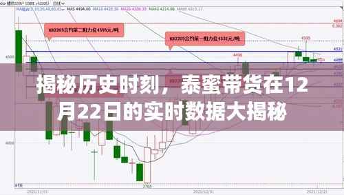 泰蜜帶貨12月22日實時數(shù)據(jù)大揭秘，歷史時刻的全面剖析