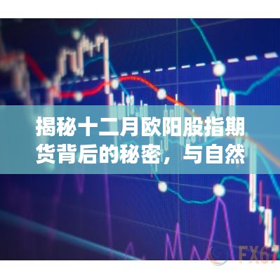揭秘十二月歐陽股指期貨背后的秘密，與自然對話，尋找內(nèi)心的寧靜之旅