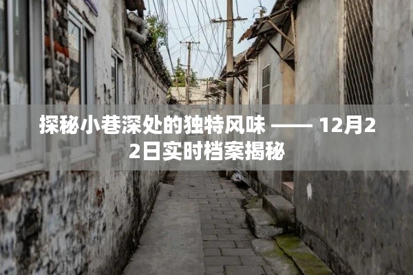 探秘小巷深處的獨(dú)特風(fēng)味，實(shí)時(shí)檔案揭秘的味蕾之旅（12月22日）