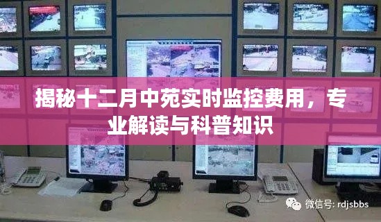 揭秘十二月中苑實(shí)時(shí)監(jiān)控費(fèi)用，專業(yè)解讀助你了解相關(guān)科普知識(shí)
