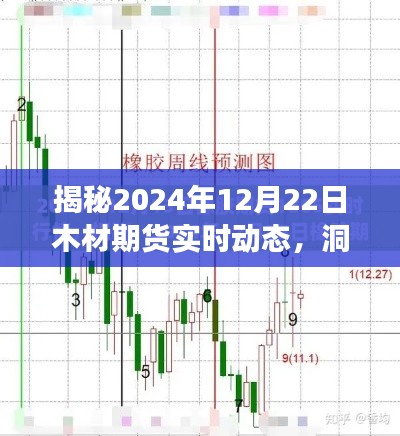 揭秘，木材期貨市場(chǎng)趨勢(shì)與應(yīng)對(duì)策略——聚焦2024年12月22日實(shí)時(shí)動(dòng)態(tài)分析