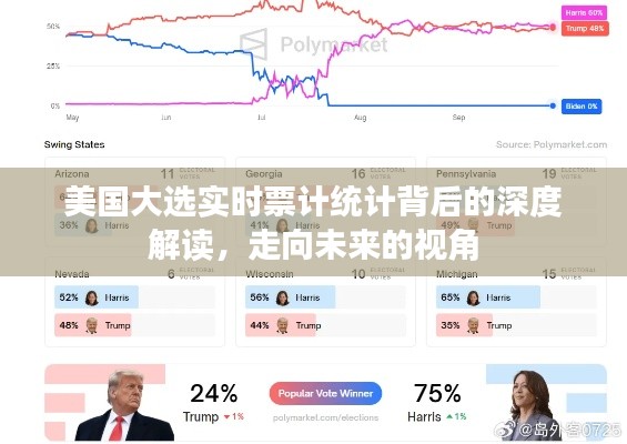 美國大選實時票計統(tǒng)計深度解析，展望未來視角的洞察