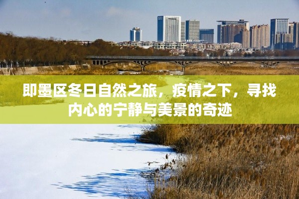 即墨區(qū)冬日自然探秘之旅，疫情中的心靈寧靜與美景奇跡