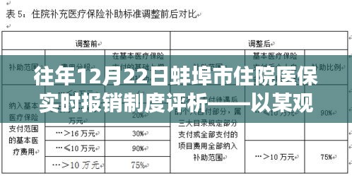 往年12月22日蚌埠市住院醫(yī)保實(shí)時報銷制度深度評析，某觀點(diǎn)視角
