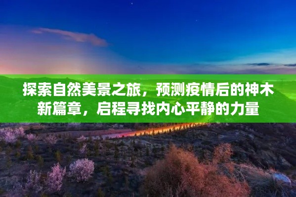 疫情后的神木新篇章，自然探索之旅與內(nèi)心平靜的啟程
