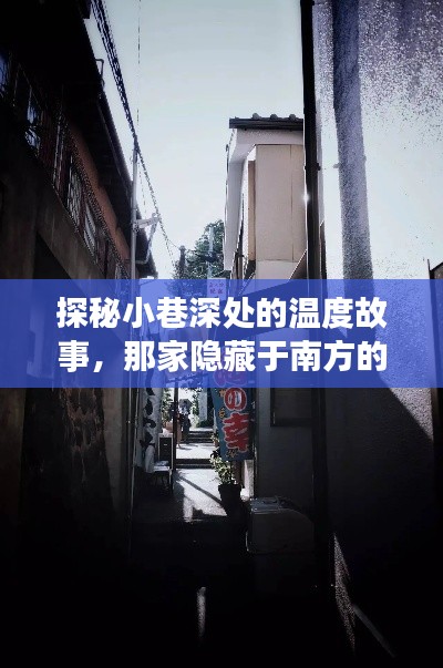 探秘南方小巷深處的特色小店，溫度計(jì)之旅揭示溫暖故事
