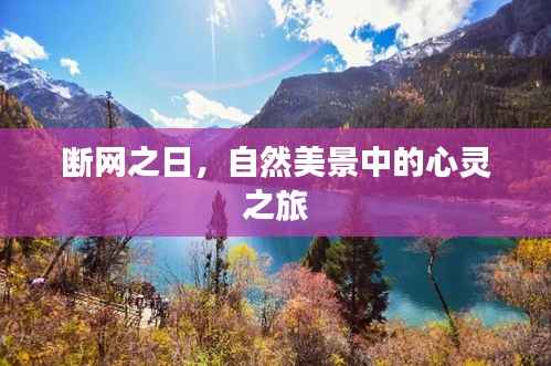 斷網(wǎng)之日的自然美景心靈之旅探索