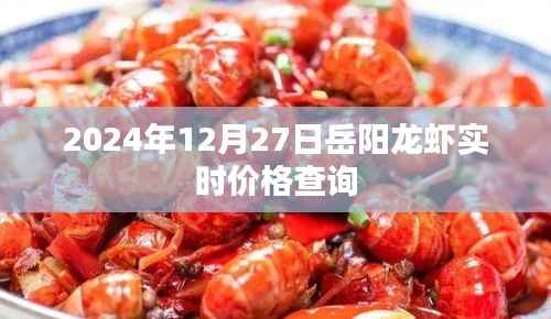 岳陽龍蝦最新實時價格查詢（2024年12月27日）