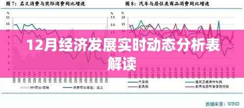12月經(jīng)濟發(fā)展動態(tài)分析表解讀報告