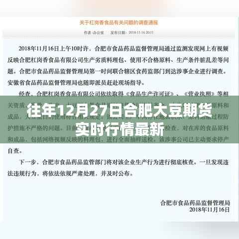 合肥大豆期貨實(shí)時(shí)行情更新，歷年12月27日最新動(dòng)態(tài)