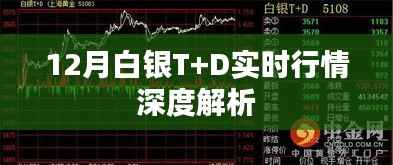 白銀T+D實時行情深度解析（最新動態(tài)）