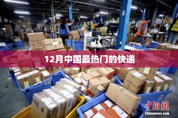 12月熱門快遞榜單揭曉