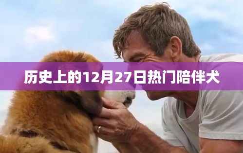 歷史上的熱門陪伴犬，犬類陪伴的溫馨記憶
