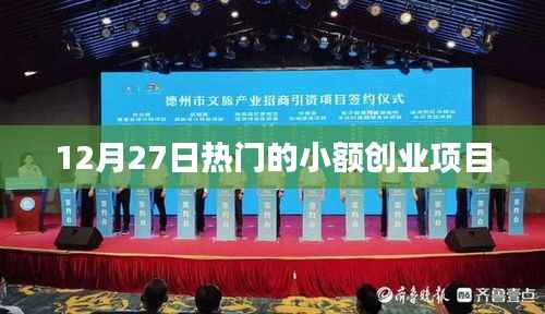 12月27日小額創(chuàng)業(yè)項(xiàng)目熱門(mén)榜單