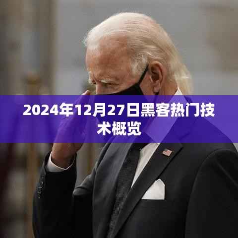 2024年黑客技術(shù)趨勢(shì)概覽，熱門技術(shù)一網(wǎng)打盡