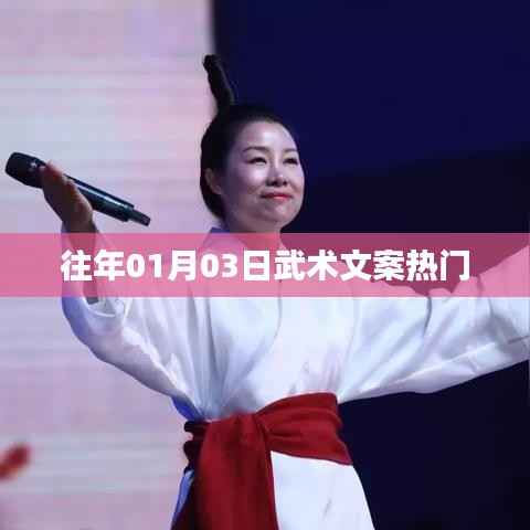 武術(shù)文化魅力揭秘，歷年熱門文案回顧