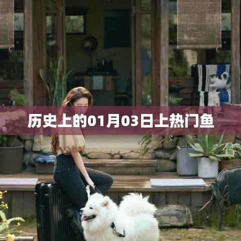 歷史上的大事件，一月三日熱門魚揭曉