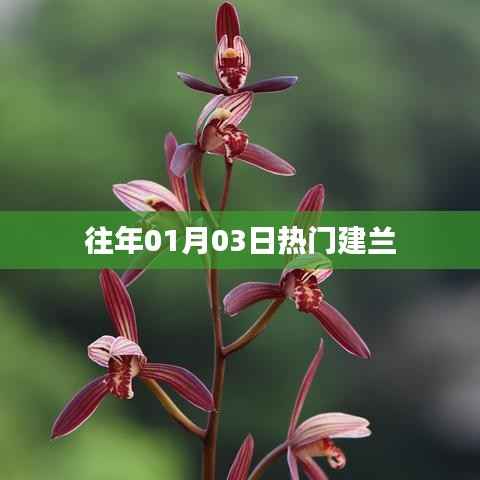 建蘭歷年一月三日熱門資訊回顧