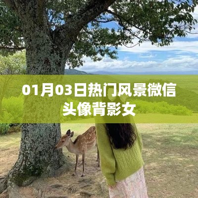 微信頭像精選，風景背影女頭像