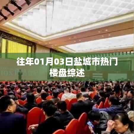 鹽城市熱門樓盤綜述，歷年一月初的樓市熱點(diǎn)解析